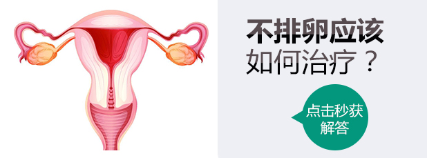 1522401301295972.jpg 1521199620107734.jpg