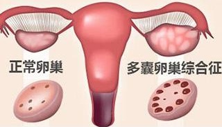 1522722504946699.jpg 1522722504946699.jpg