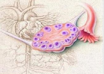 1523345084328762.jpg 1523345031180001.jpg