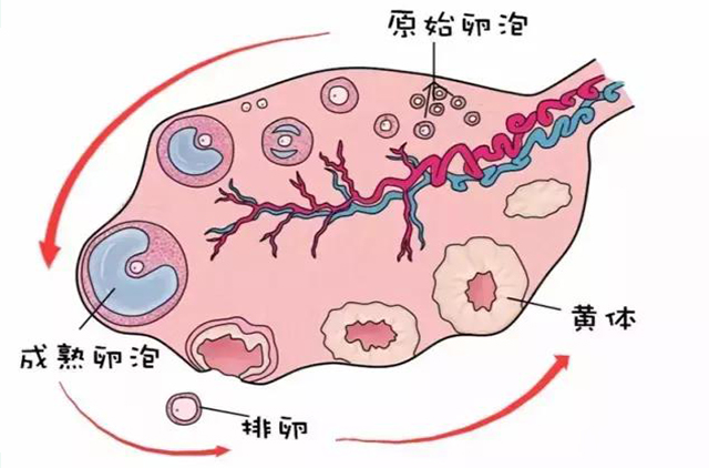 1523606289137529.jpg db4ff198c28427f32a06_size69_w441_h316.jpg