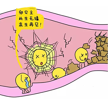 1539047271725515.jpg 640.jpg