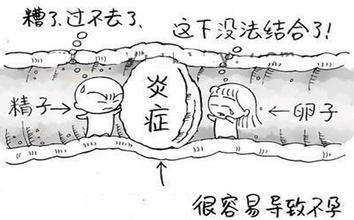 1539052722548827.jpg timg (3).jpg