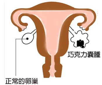 1539064461290765.jpg timg (1).jpg