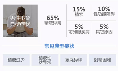 男性不孕原因.jpg