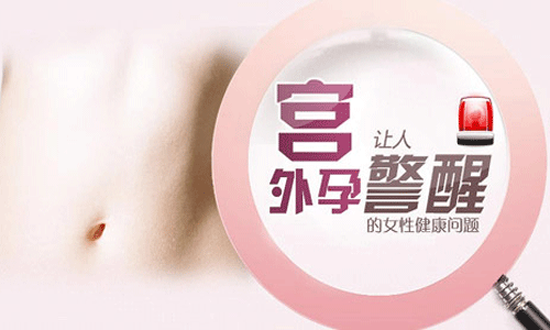 1539766405120032.gif 1539766405120032.gif